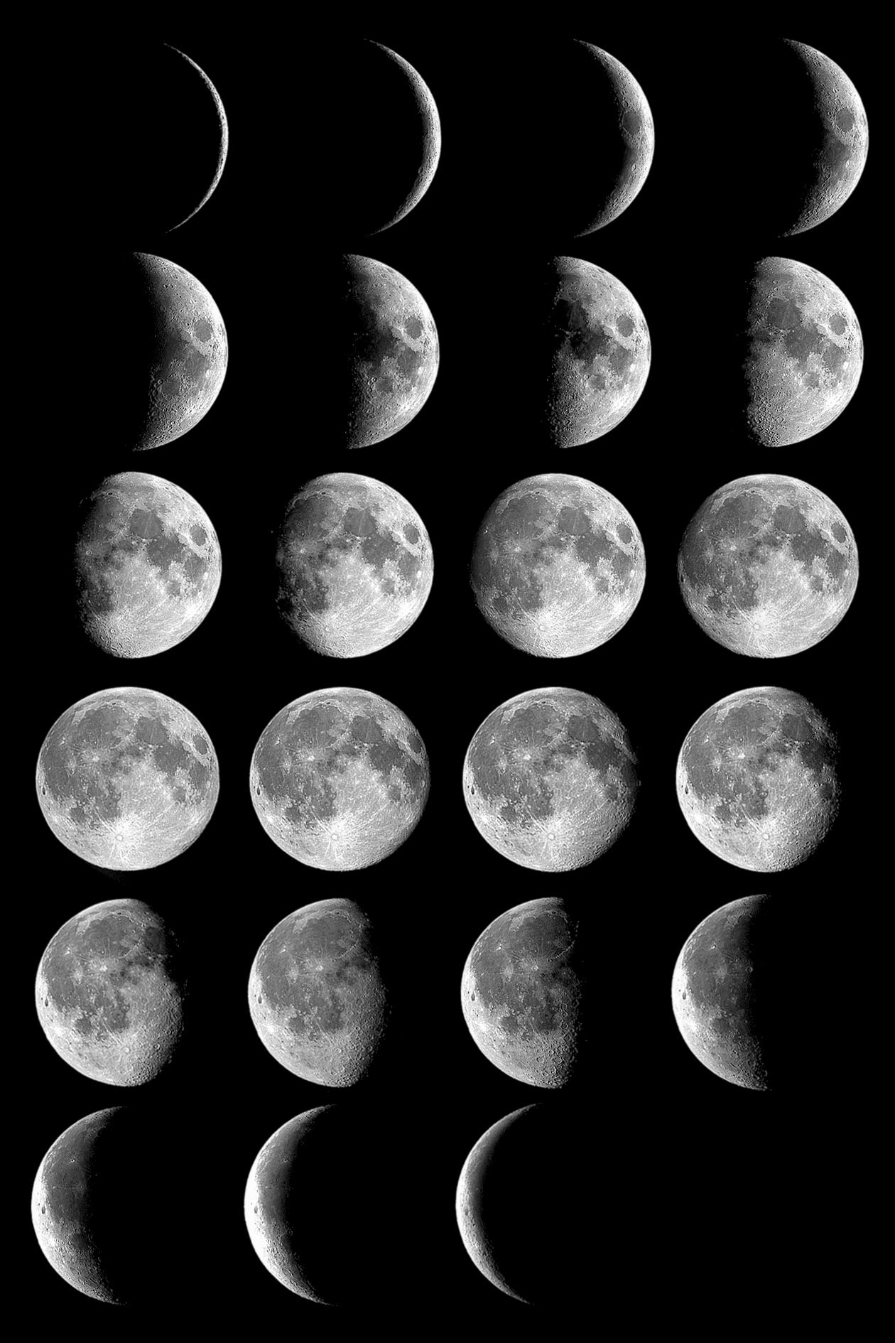 Phase Of Moon